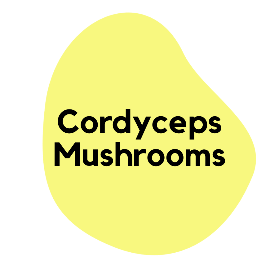 Cordyceps Mushrooms